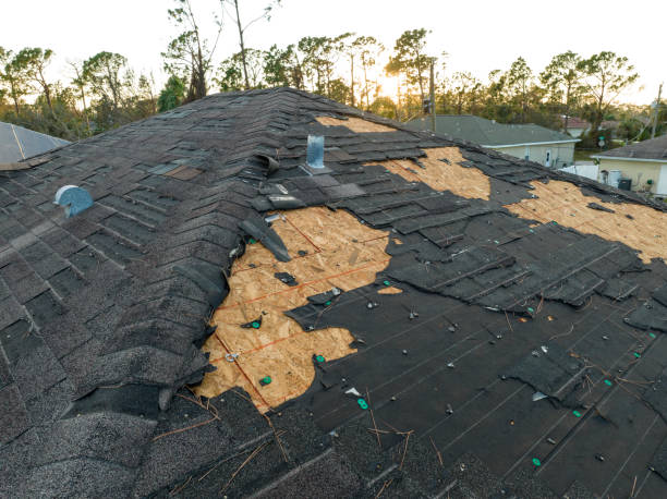  Branford Center, CT Roofing Service Pros
