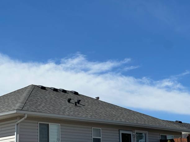 Best Flat Roofing  in Branford Center, CT